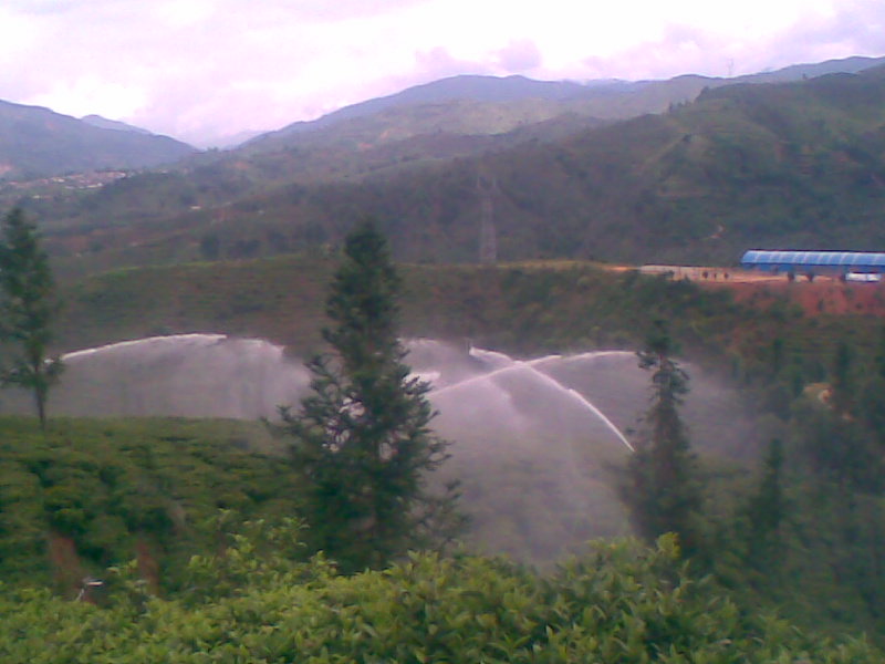 臨滄市臨翔區(qū)青龍山---500畝茶園噴灌工程