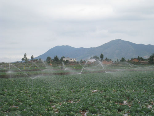 昭陽區(qū)農(nóng)業(yè)局--無公害蔬菜基地噴灌系統(tǒng)安裝工程